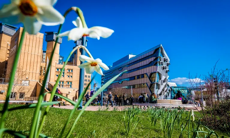 Illustration of people learning computing